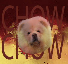 CHOWCHOW.png