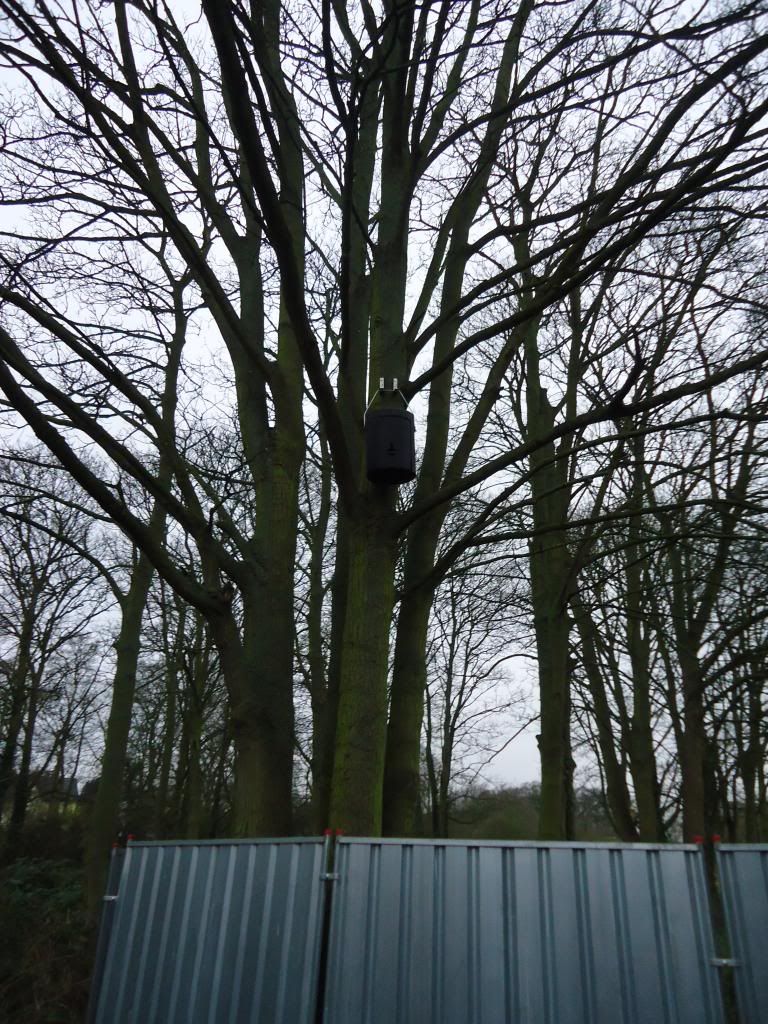 010.jpg