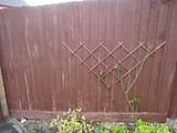 th_0043.jpg