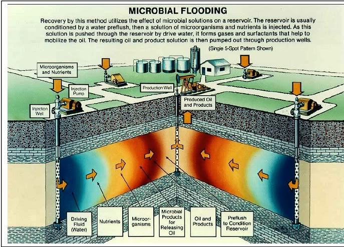 Microbialflooding.jpg