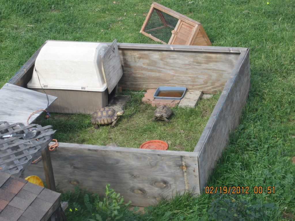SHOW ME your Sulcata winter enclosures pls - Ground Pounders - Turtle Forum, image size:1024x768