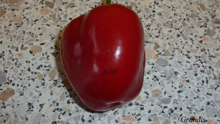 P1000319.jpg
