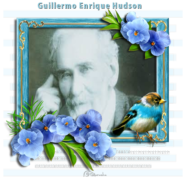  photo guillermoenriquehudson2_zps3e8d1251.png