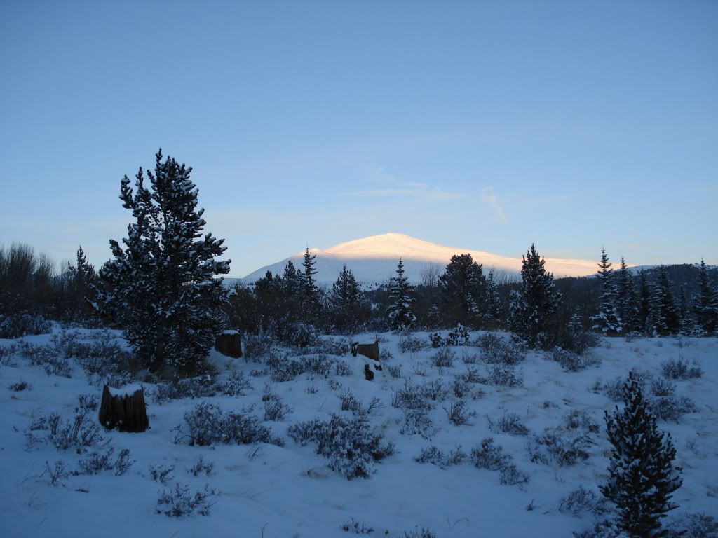 DSC01172.jpg