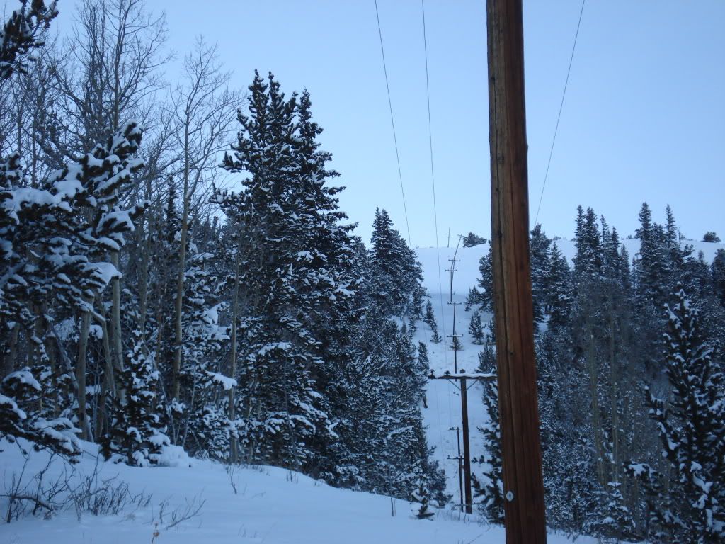 DSC01174.jpg