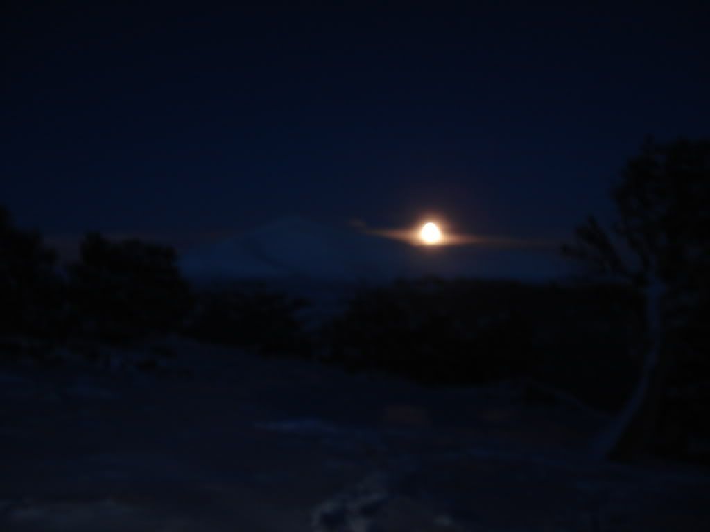 DSC01177.jpg
