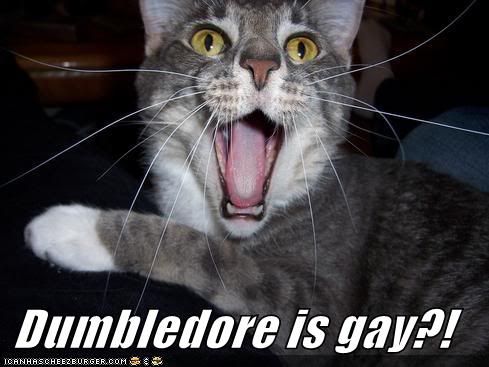 dumbledore-is-gay-lolcat.jpg