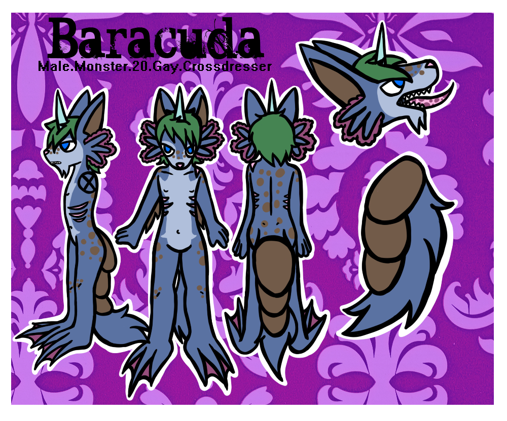 baracudareferance.png