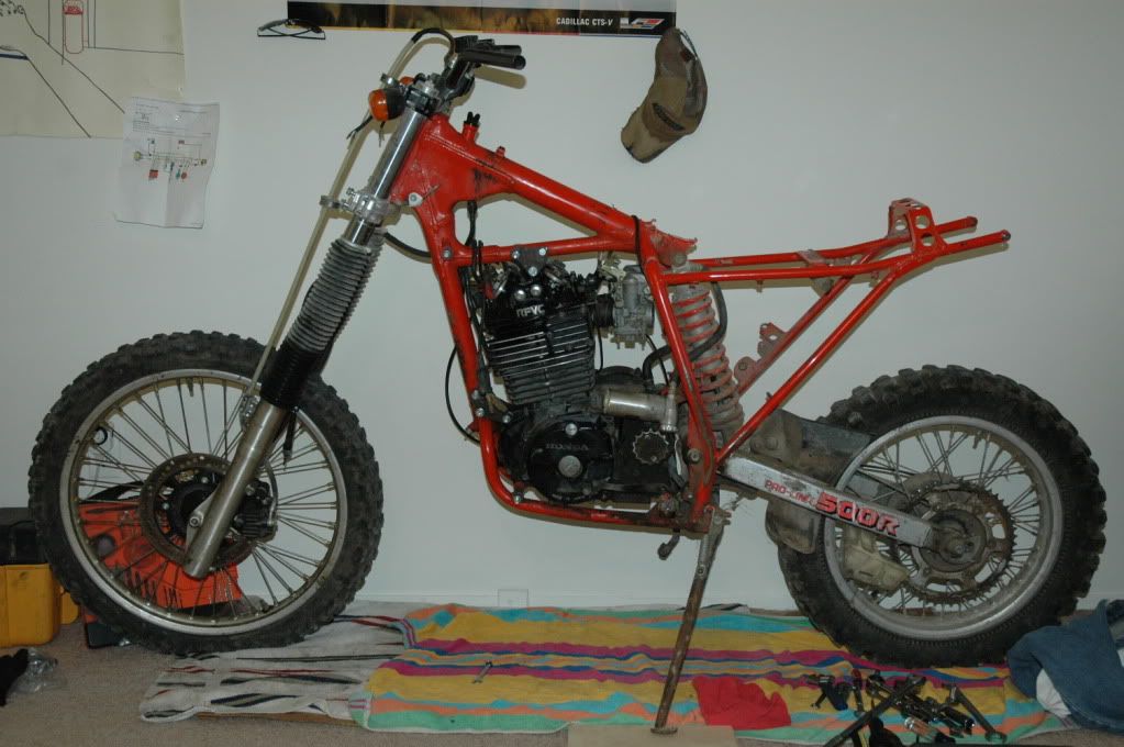Posted Image