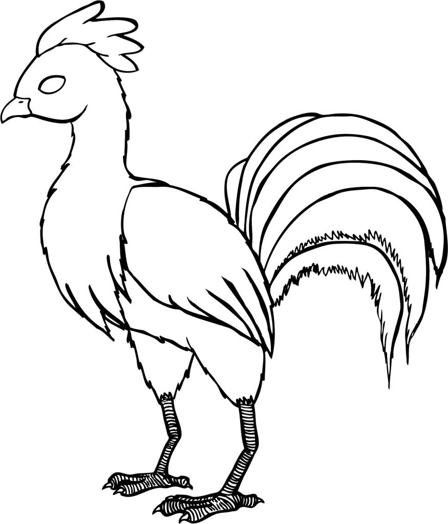 kid rooster cock