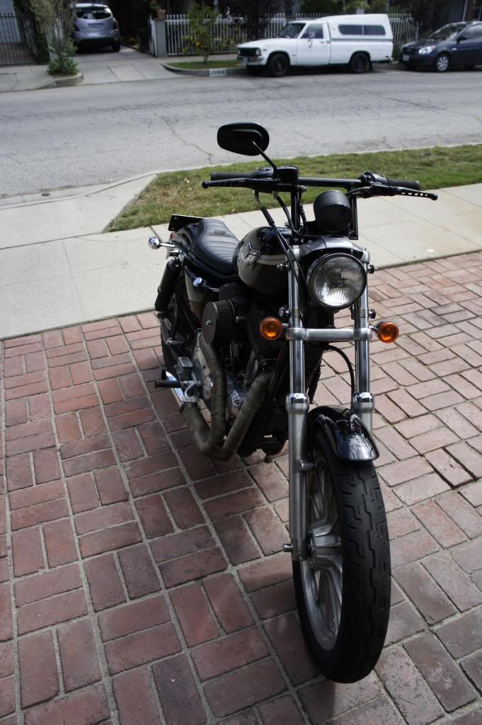 sportster window bars