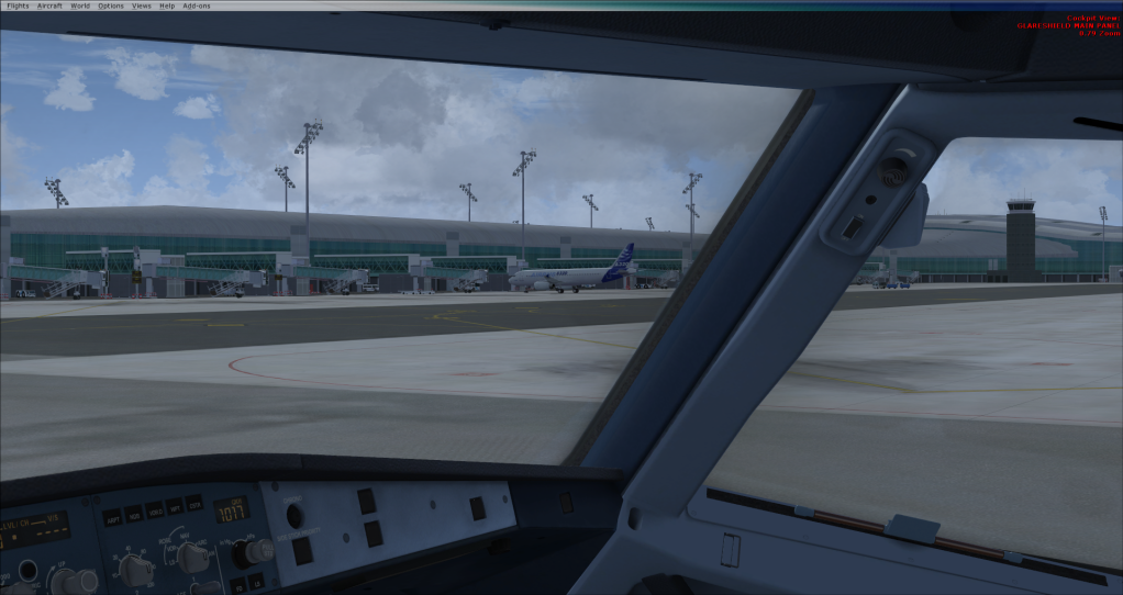 fsx2011-12-1113-30-15-06.png