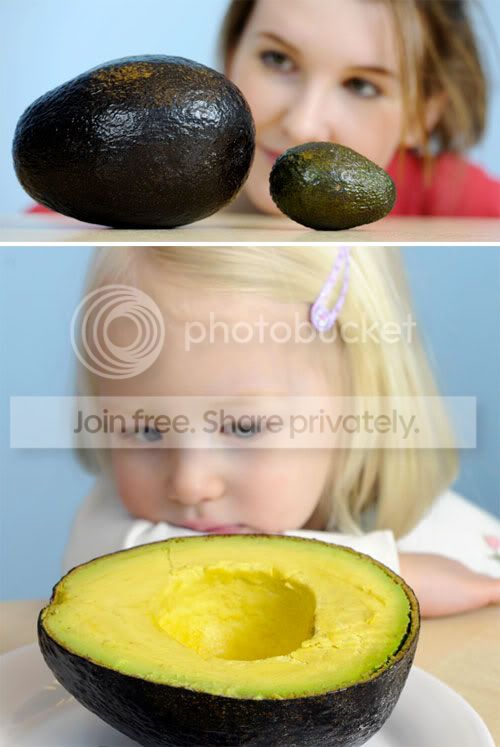 1100514416avacado.jpg