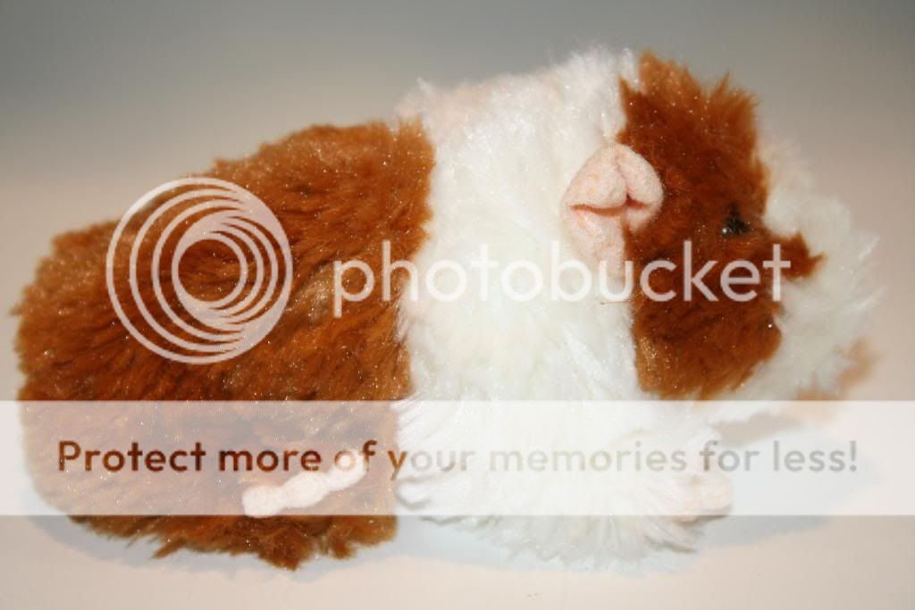 Ty Plush Beanie Baby 2.0 FLUFFBALL 2007 GUINEA PIG HAMSTER 6 Retired 