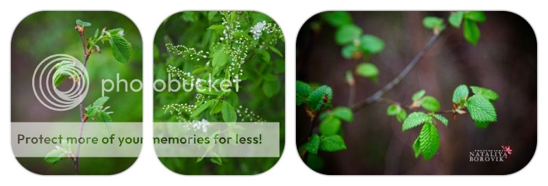 photo d985031f-3814-4d74-8ad1-1a49efdd2528_zps7d1a6c8d.jpg