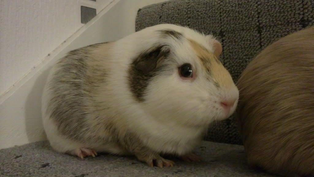 01012012221.jpg