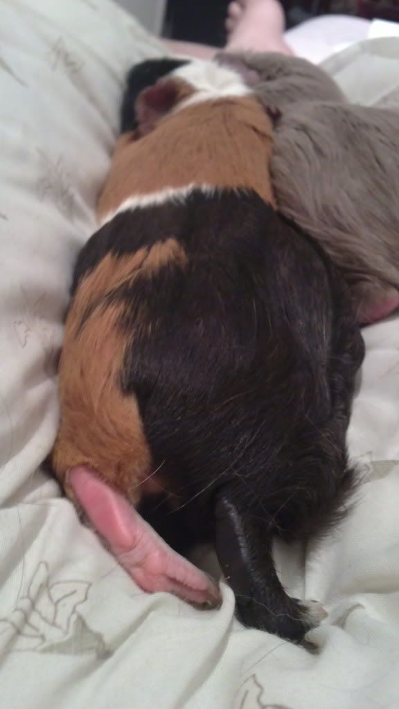 05112010273.jpg