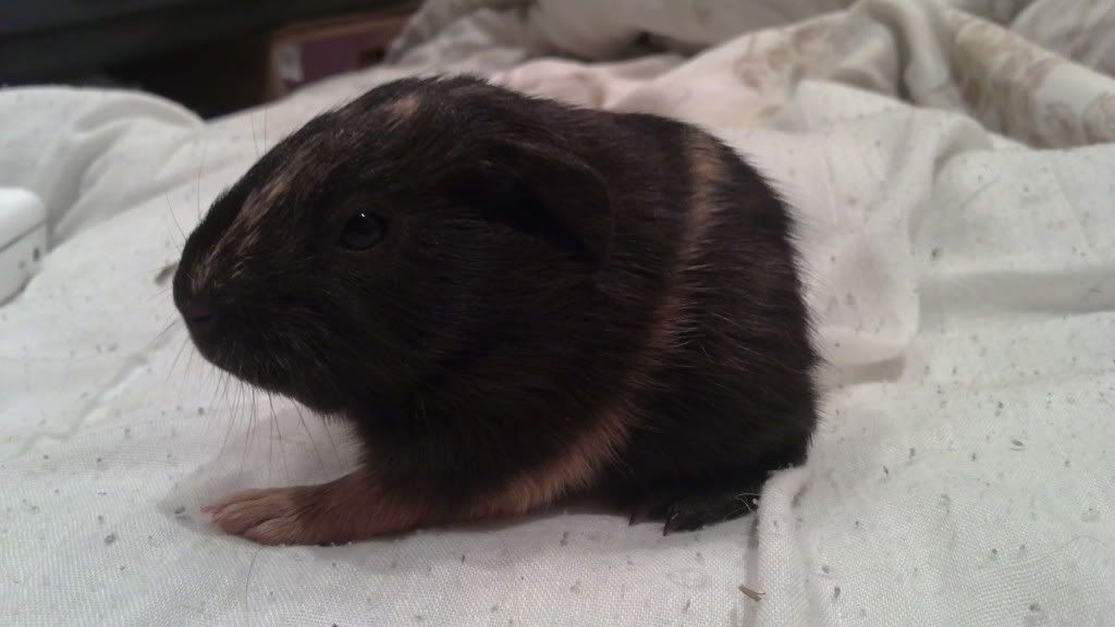 24012012288.jpg