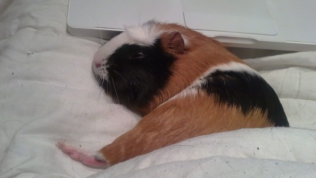 29082011739.jpg