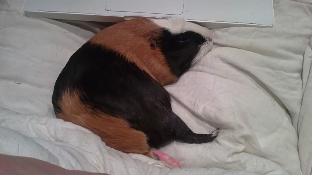 29082011742.jpg