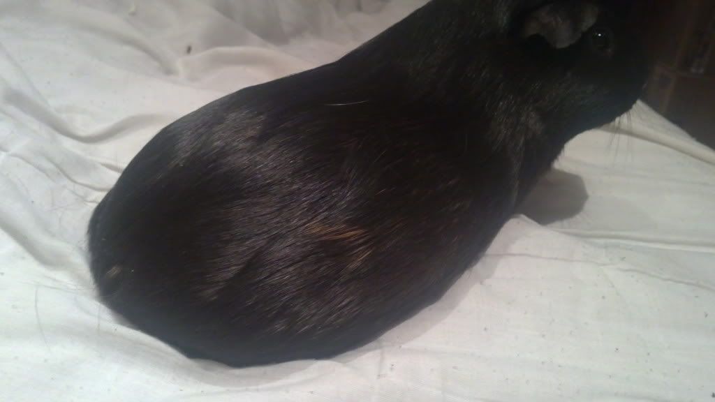 29112010368.jpg