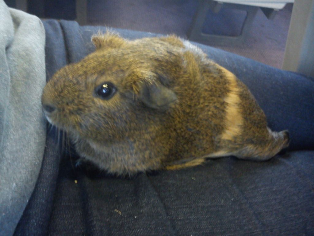 DSC00044.jpg