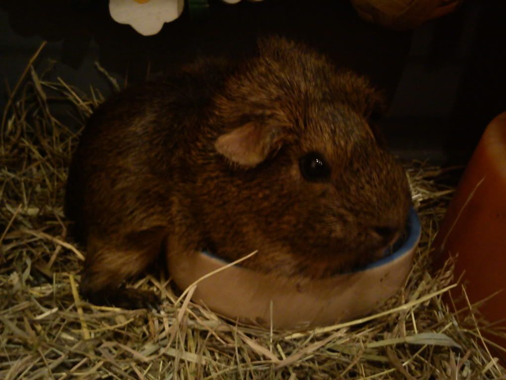 DSC00287.jpg