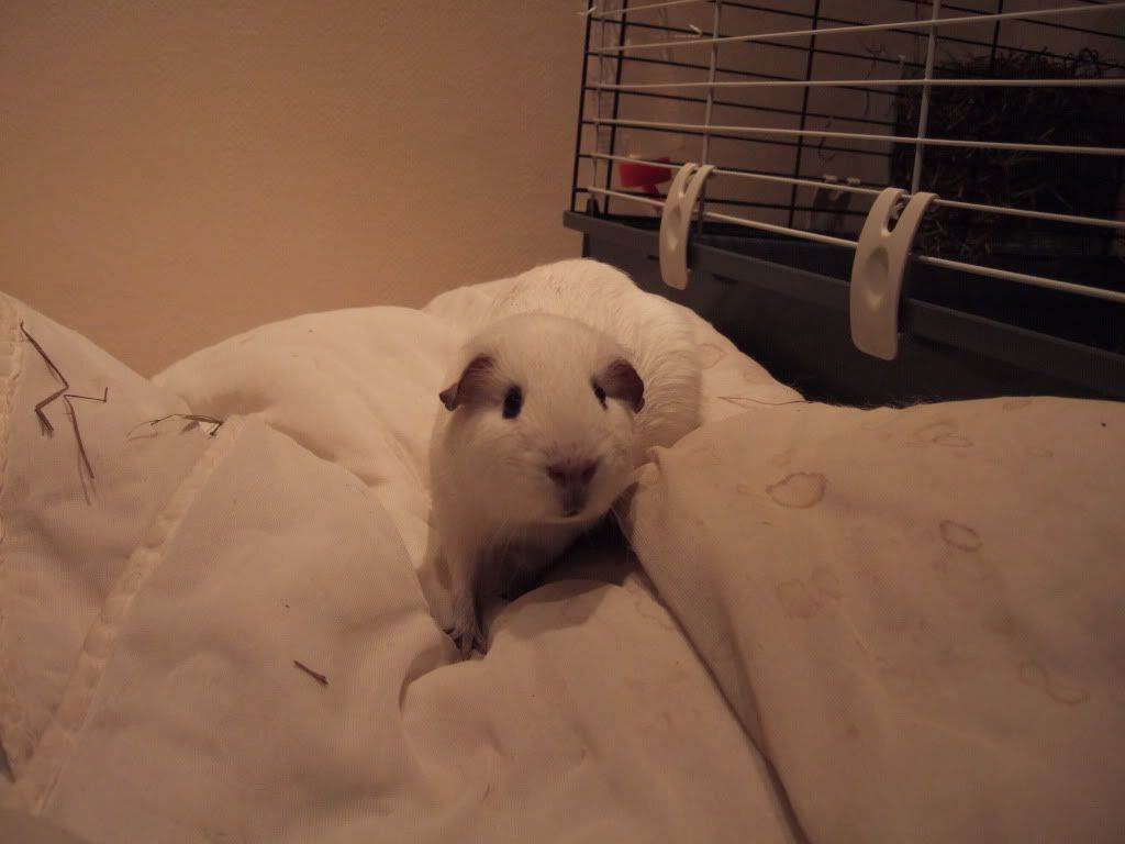 DSCF0818.jpg