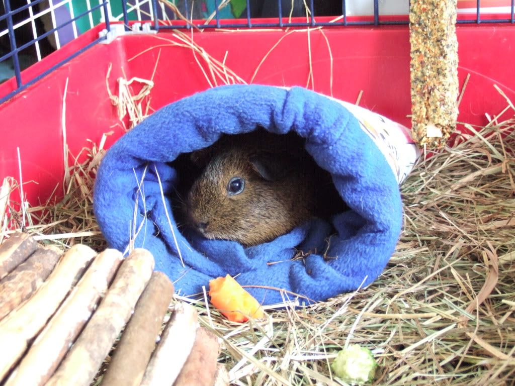 DSCF0892.jpg