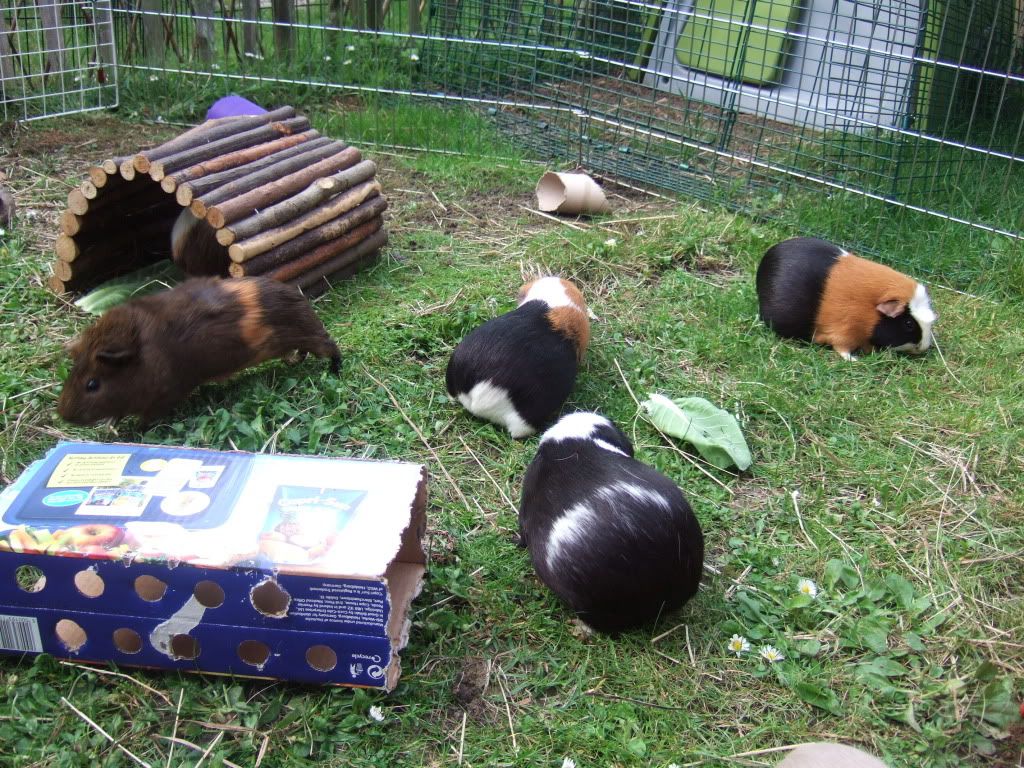 DSCF1479.jpg