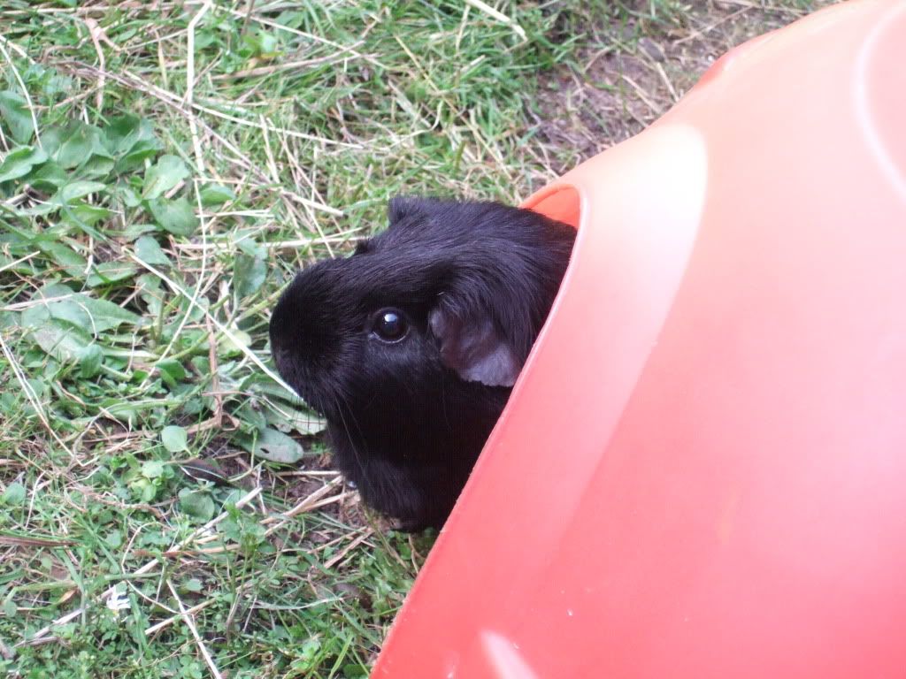 DSCF1509.jpg