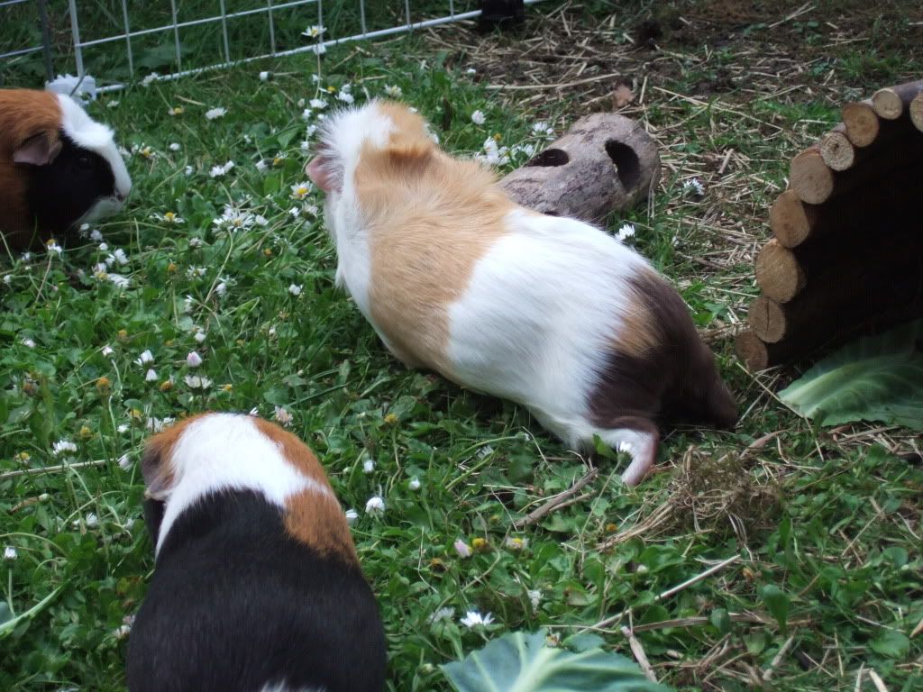 DSCF1512.jpg