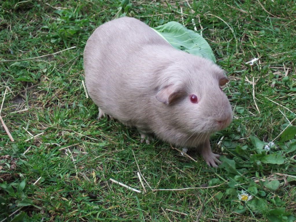 DSCF1528.jpg