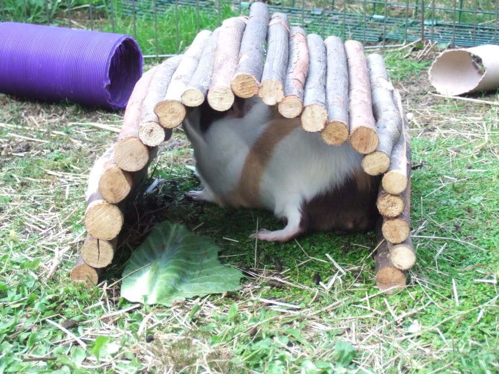 DSCF1538.jpg