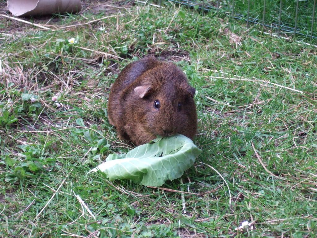 DSCF1544.jpg