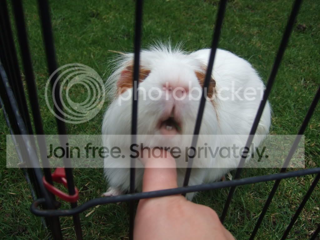 DSCF9509.jpg