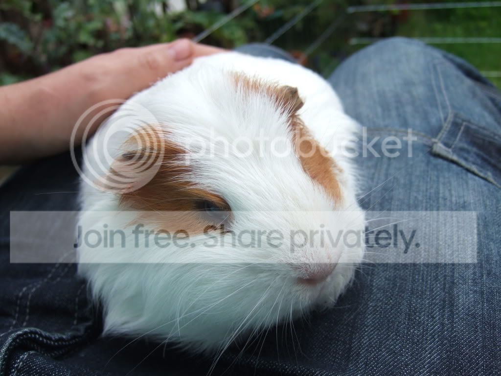 DSCF9557.jpg