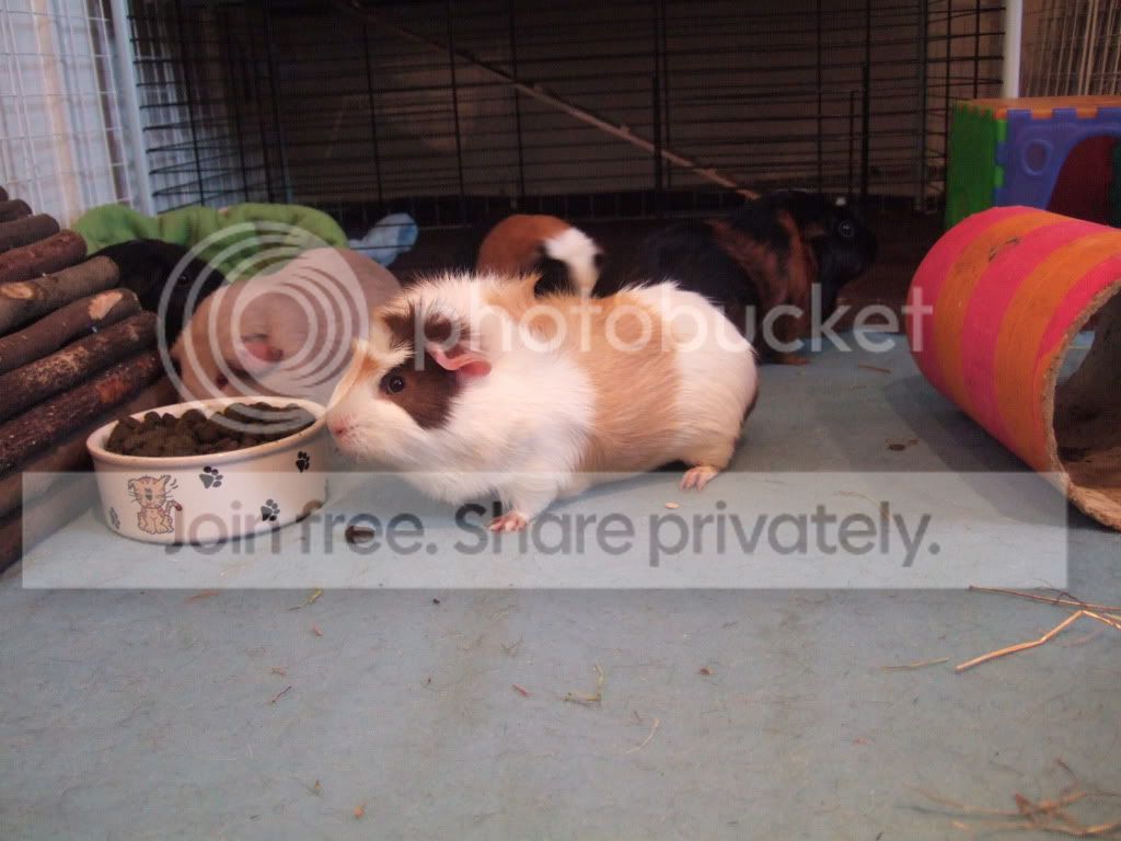 DSCF9638.jpg
