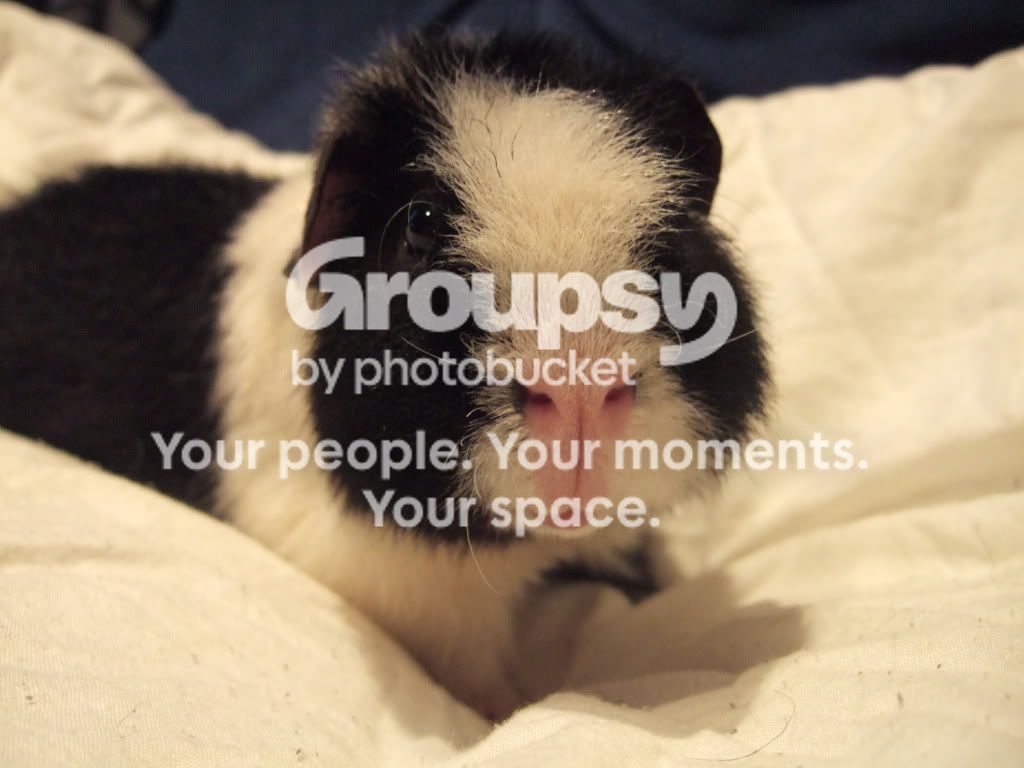 DSCF9657.jpg