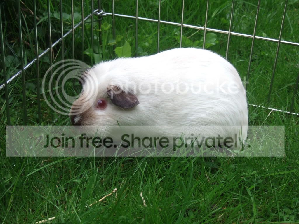 DSCF9687.jpg