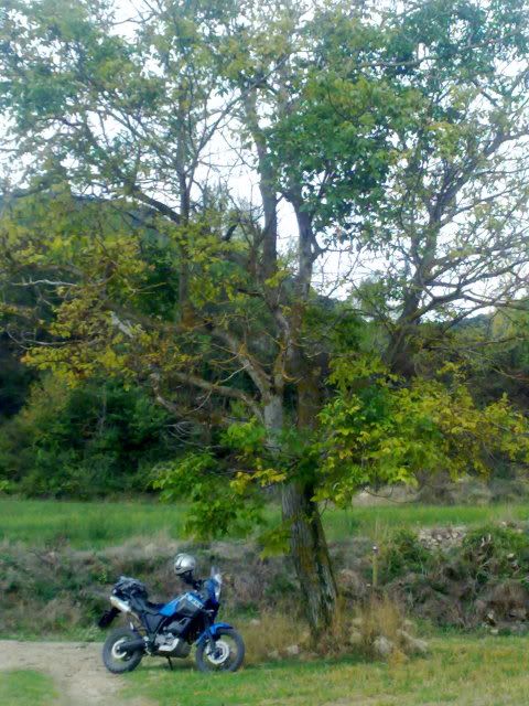 06102012237.jpg