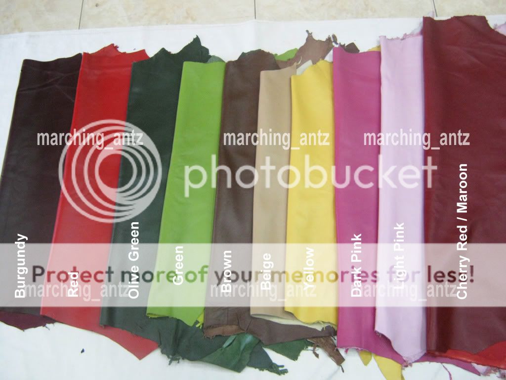 COLOR BAR items in MARCHING ANTZ LEATHER STORE 